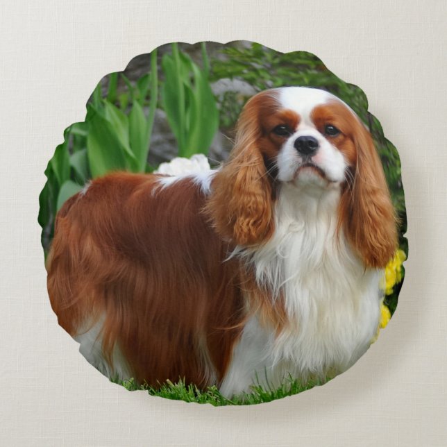 Blenheim Cavalier King Charles Spaniel Puppy Dog Rundes Kissen (Vorderseite)
