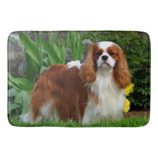 Blenheim Cavalier King Charles Spaniel Welpe Hund Badematte (Vorderseite)