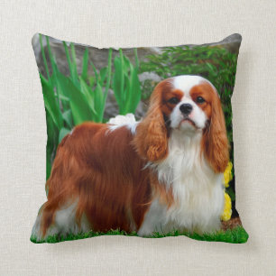 Blenheim Cavalier King Charles Spaniel Welpe Hund Kissen