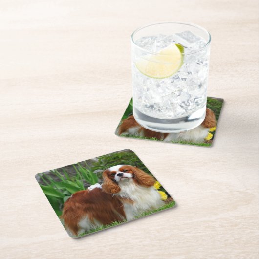 Blenheim Cavalier King Charles Spaniel Welpe Hund Rechteckiger Pappuntersetzer (Vor Ort)