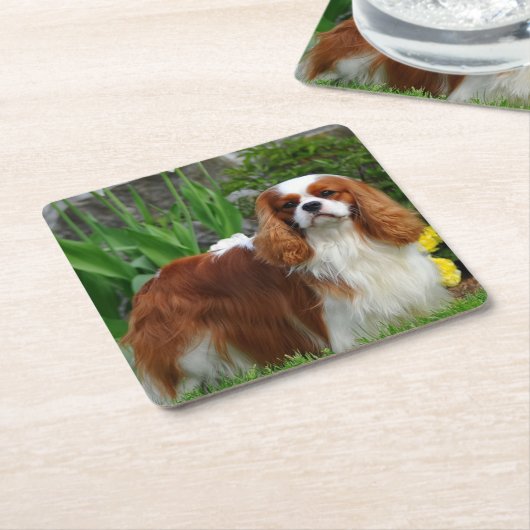 Blenheim Cavalier King Charles Spaniel Welpe Hund Rechteckiger Pappuntersetzer (angewinkelt)