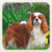 Blenheim Cavalier King Charles Spaniel Welpe Hund Rechteckiger Pappuntersetzer (Vorderseite)
