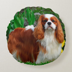 Blenheim Cavalier King Charles Spaniel Welpe Hund Rundes Kissen