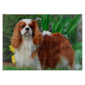 Blenheim Cavalier King Charles Spaniel Welpe Hund Schneidebrett (Vorderseite)