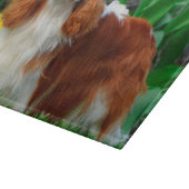 Blenheim Cavalier King Charles Spaniel Welpe Hund Schneidebrett (Ecke)