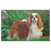Blenheim Cavalier King Charles Spanier Dog Panel Stoff (Yard (91,4 cm))