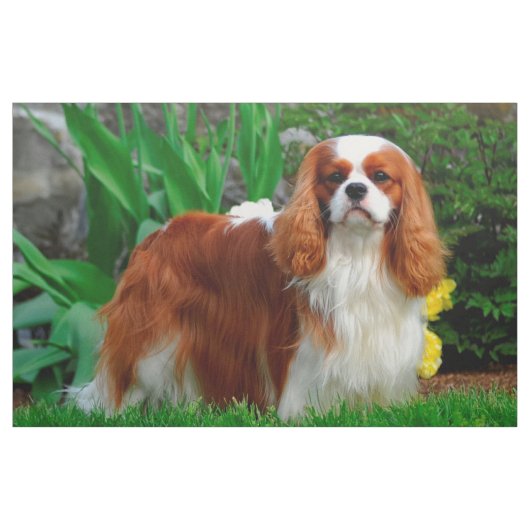 Blenheim Cavalier King Charles Spanier Dog Panel Stoff (Yard (91,4 cm))