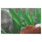 Blenheim Cavalier King Charles Spanier Dog Panel Stoff (Fat Quarter (45,7 x 55,9 cm))