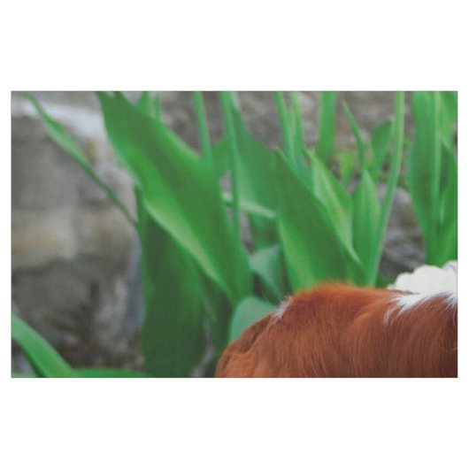 Blenheim Cavalier King Charles Spanier Dog Panel Stoff (Fat Quarter (45,7 x 55,9 cm))