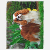 Blenheim Cavalier König Charles Spaniel Hund Fleecedecke (Vorderseite)
