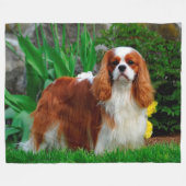 Blenheim Cavalier König Charles Spaniel Hund Fleecedecke (Vorderseite (Horizontal))