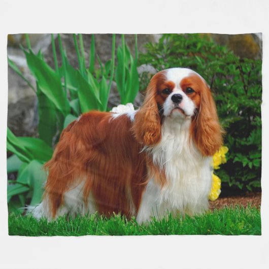 Blenheim Cavalier König Charles Spaniel Hund Fleecedecke (Vorderseite (Horizontal))