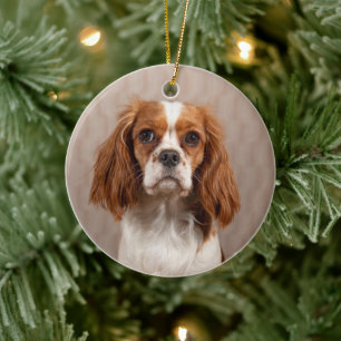 Blenheim Cavalier König Charles Spaniel Hund Keramik Ornament