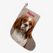 Blenheim Cavalier König Charles Spaniel Hund Kleiner Weihnachtsstrumpf (Vorderansicht (hängend))