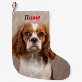 Blenheim Cavalier König Charles Spaniel Hund Kleiner Weihnachtsstrumpf