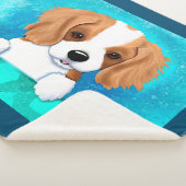 Blenheim Cavalier Spaniel Puppy Sherpadecke (3/4)