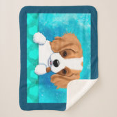 Blenheim Cavalier Spaniel Puppy Sherpadecke (Vorderseite)