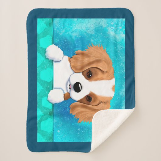 Blenheim Cavalier Spaniel Puppy Sherpadecke (Vorderseite)