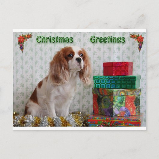 Blenheim Christmas Cavalier Feiertagspostkarte (Vorderseite)