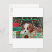 Blenheim Christmas Puppy Feiertagspostkarte (Vorne/Hinten)