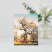 Blenheim Palace English Oak Postkarte (Stehend Vorderseite)