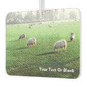 Blenheim Palace Sheep Autolufterfrischer (Links)