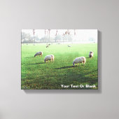 Blenheim Palace Sheep Leinwanddruck (Vorderseite)