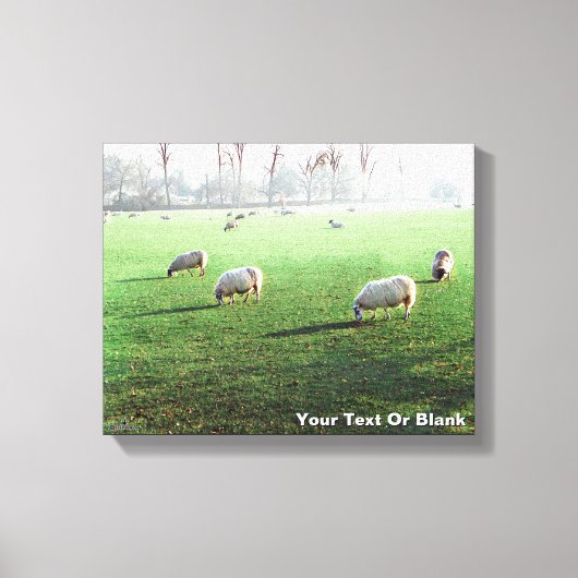 Blenheim Palace Sheep Leinwanddruck (Vorderseite)