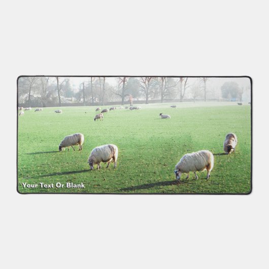 Blenheim Palace Sheep Schreibtischunterlage (Vorderseite)