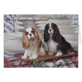 Blenheim/Tricolor Cavalier Spanier Weihnachtskarte