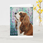 Blenheim unbekümmerter Königcharles Spaniel Karte (Gelbe Blume)