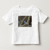 Blenny fish Blenniidae), die sich den Kopf raussch Kleinkind T-shirt (Vorderseite)