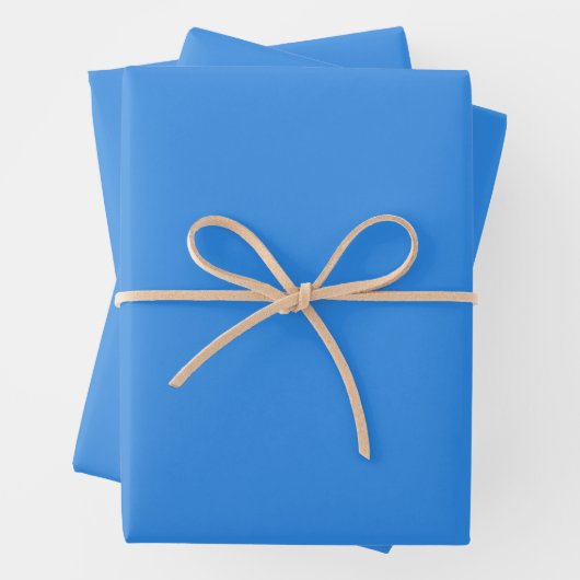 Bleu de France Solid Color Geschenkpapier Set (Beispiel)