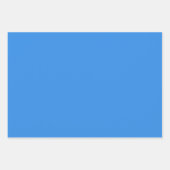 Bleu de France Solid Color Geschenkpapier Set (Vorderseite)