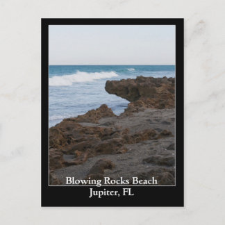 Blflüge Rocks Beach Jupiter, FL Postkarte