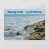 Blflüge Rocks Conservancy Jupiter FL Fotografie Postkarte (Vorderseite)