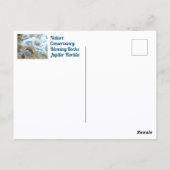 Blflüge Rocks Jupiter FL Fotografie Postkarte (Rückseite)