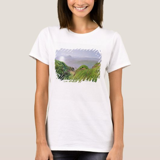 Blick auf Ailsa Craig und die Insel Arran, 1860 T-Shirt (Vorderseite)