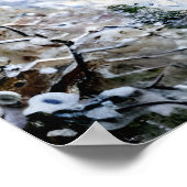 Blick auf Argentinien im Schnee Poster (Ecke)