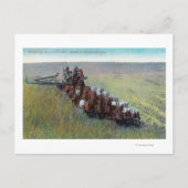 Blick auf Bauer, die mit riesigem Pferd ernten Postkarte (Vorderseite)