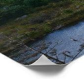 Blick auf Bäume Herbst Poster (Ecke)