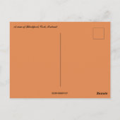 Blick auf Blackpool Cork Irland Postkarte (Rückseite)