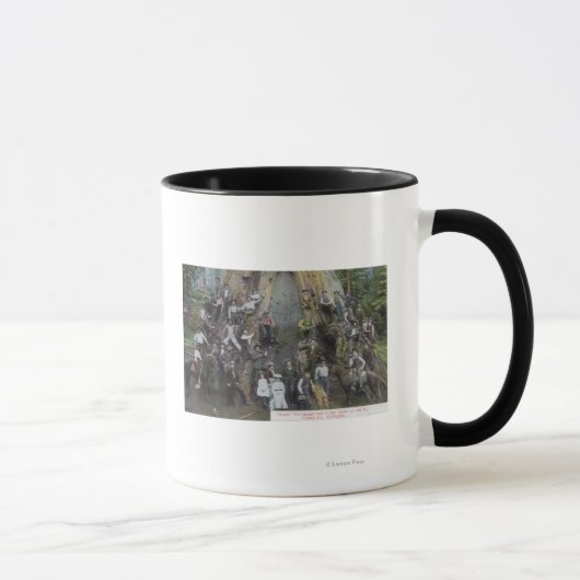 Blick auf Boole, den größten Baum der Welt Tasse (Rechts)