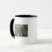 Blick auf Boole, den größten Baum der Welt Tasse (Vorderseite Links)