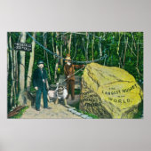 Blick auf das größte Gold Nugget der Welt Poster (Vorne)