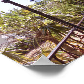 Blick auf das Key West Lighthouse aus dem Hemingwa Poster (Ecke)