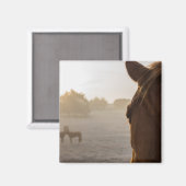 Blick auf das Magnet (Vorderseite/Rückseite)