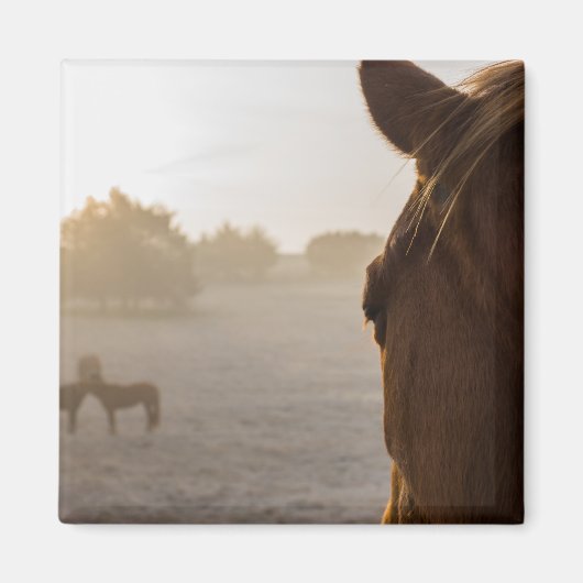 Blick auf das Magnet (Vorne)