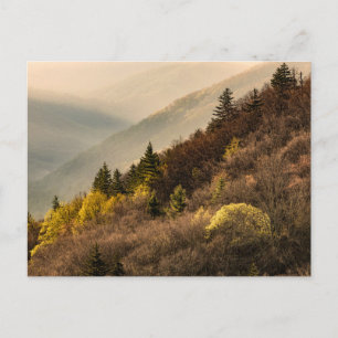 Blick auf das Oconaluftee-Tal North Carolina Postkarte