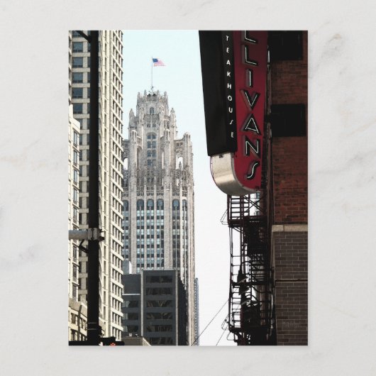 Blick auf das Wrigley-Gebäude Postkarte (Vorderseite)